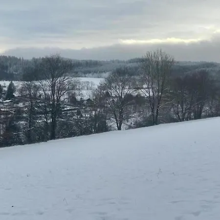 Flat Near The Forest In Thuringia Appartamento