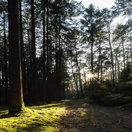 Appartamento Flat Near The Forest In Thuringia Frauenwald