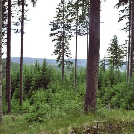 Flat Near The Forest In Thuringia *