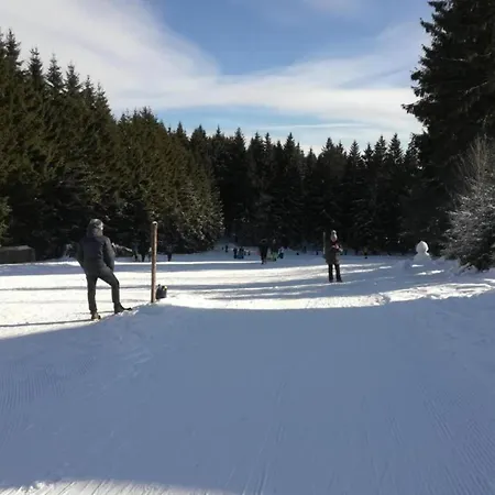 Flat Near The Forest In Thuringia * Frauenwald