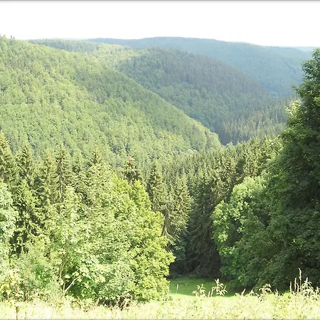 Apartment Einladende Mit Garten Frauenwald