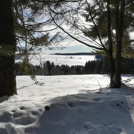 Apartmán Einladende Mit Garten Frauenwald