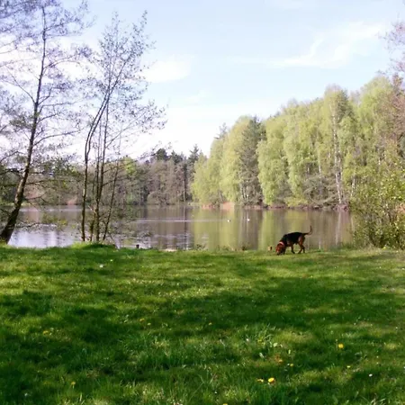 Einladende Mit Garten Apartment Frauenwald