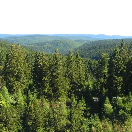 Appartamento Flat Near The Forest In Thuringia Frauenwald