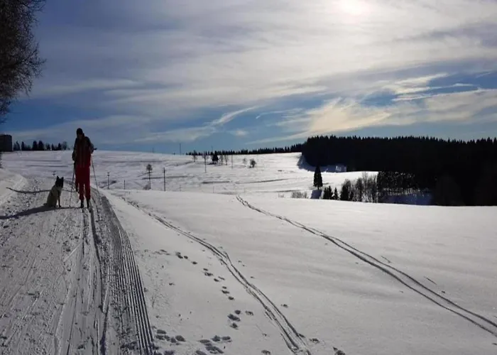 Einladende Mit Garten Lejlighed