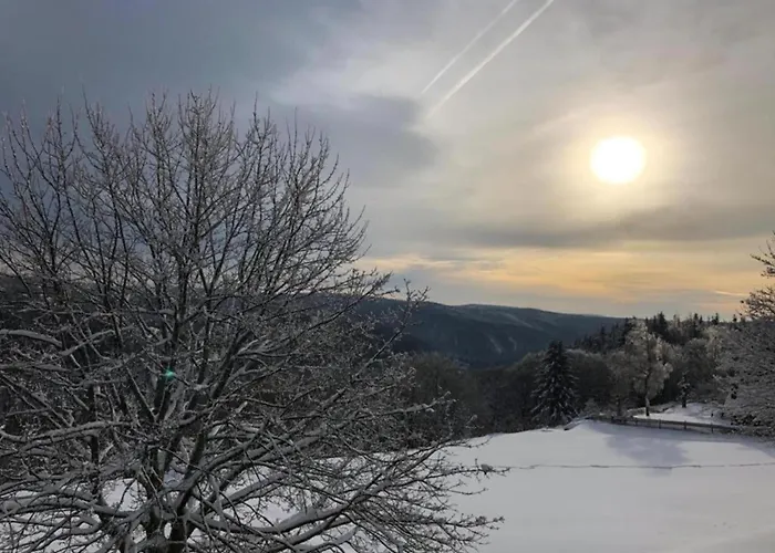 Einladende Mit Garten Lejlighed *