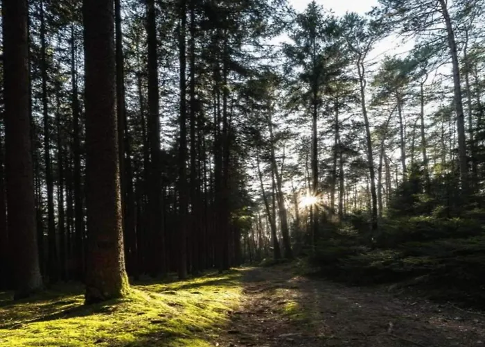 Lejlighed Einladende Mit Garten *