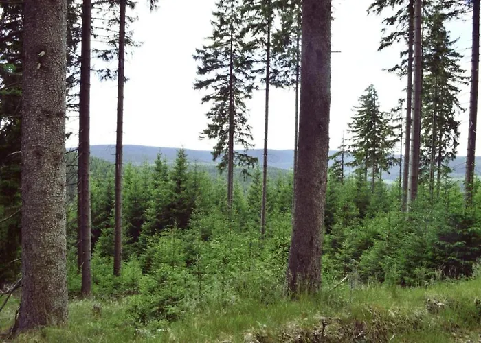 Einladende Mit Garten Lejlighed *