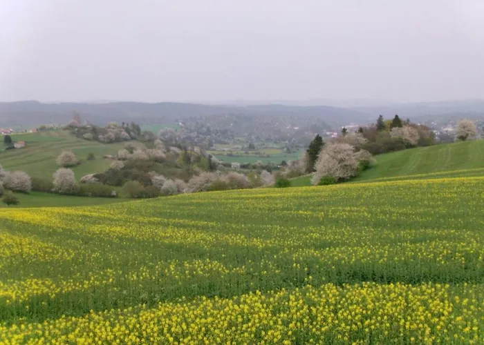 Einladende Mit Garten Lejlighed Frauenwald