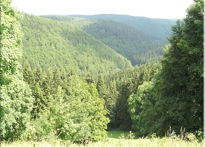 Lejlighed Einladende Mit Garten Frauenwald