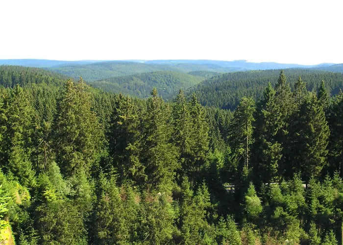 Einladende Mit Garten Lejlighed Frauenwald