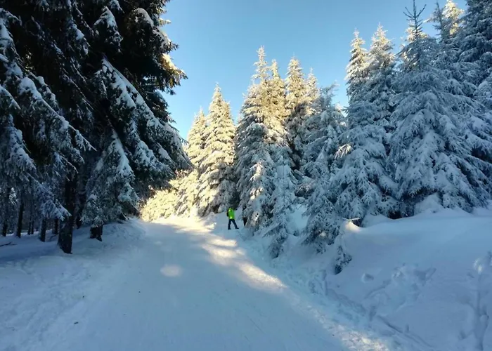 Einladende Mit Garten