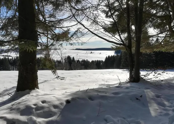 Lejlighed Einladende Mit Garten Frauenwald